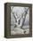 Lonely Oak In Winter Wood-balaikin2009-Framed Stretched Canvas