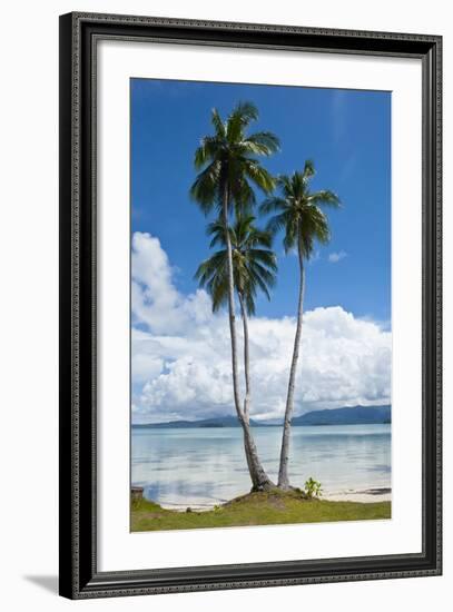 Lonely Palm Tree in the Marovo Lagoon, Solomon Islands, Pacific-Michael Runkel-Framed Photographic Print