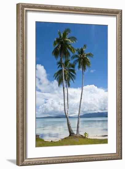 Lonely Palm Tree in the Marovo Lagoon, Solomon Islands, Pacific-Michael Runkel-Framed Photographic Print