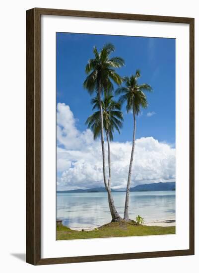 Lonely Palm Tree in the Marovo Lagoon, Solomon Islands, Pacific-Michael Runkel-Framed Photographic Print