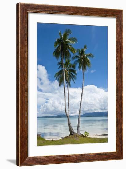 Lonely Palm Tree in the Marovo Lagoon, Solomon Islands, Pacific-Michael Runkel-Framed Photographic Print