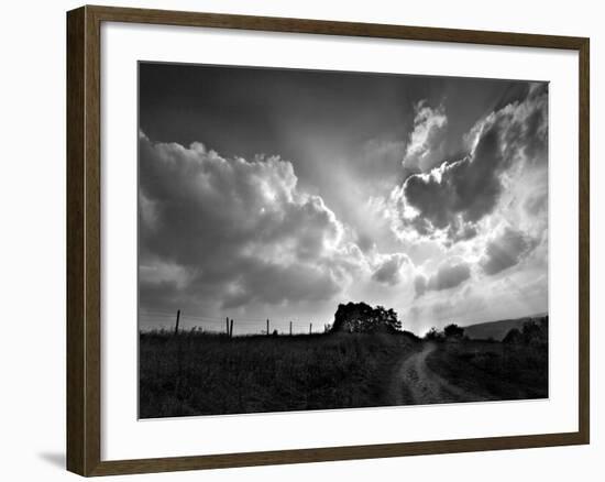 Lonely Path I-Martin Henson-Framed Photographic Print