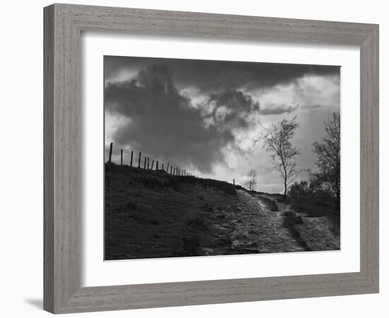 Lonely Path II-Martin Henson-Framed Photographic Print