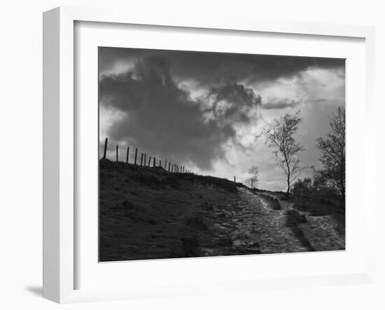 Lonely Path II-Martin Henson-Framed Photographic Print