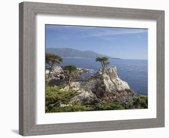 Lonely Pine on 17 Mile Drive Near Monterey, California, United States of America, North America-Donald Nausbaum-Framed Photographic Print