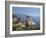 Lonely Pine on 17 Mile Drive Near Monterey, California, United States of America, North America-Donald Nausbaum-Framed Photographic Print