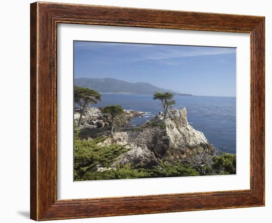 Lonely Pine on 17 Mile Drive Near Monterey, California, United States of America, North America-Donald Nausbaum-Framed Photographic Print