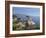 Lonely Pine on 17 Mile Drive Near Monterey, California, United States of America, North America-Donald Nausbaum-Framed Photographic Print