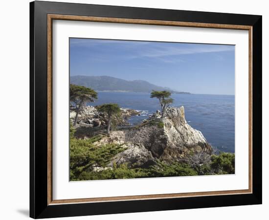 Lonely Pine on 17 Mile Drive Near Monterey, California, United States of America, North America-Donald Nausbaum-Framed Photographic Print