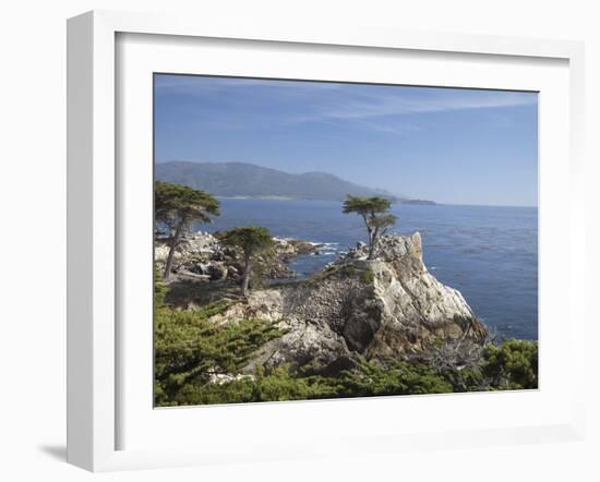 Lonely Pine on 17 Mile Drive Near Monterey, California, United States of America, North America-Donald Nausbaum-Framed Photographic Print