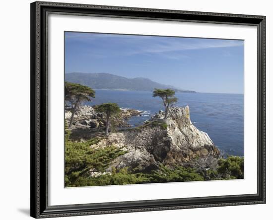 Lonely Pine on 17 Mile Drive Near Monterey, California, United States of America, North America-Donald Nausbaum-Framed Photographic Print