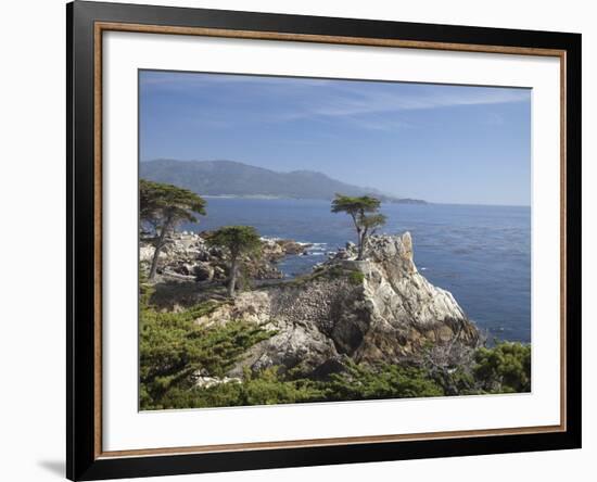 Lonely Pine on 17 Mile Drive Near Monterey, California, United States of America, North America-Donald Nausbaum-Framed Photographic Print