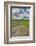 Lonely road going through the Flint Hills of Kansas-Michael Scheufler-Framed Photographic Print