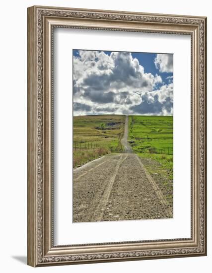 Lonely road going through the Flint Hills of Kansas-Michael Scheufler-Framed Photographic Print