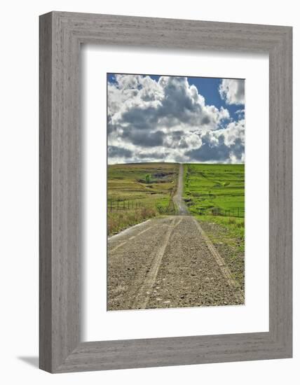 Lonely road going through the Flint Hills of Kansas-Michael Scheufler-Framed Photographic Print