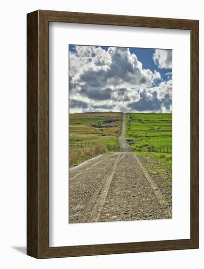 Lonely road going through the Flint Hills of Kansas-Michael Scheufler-Framed Photographic Print