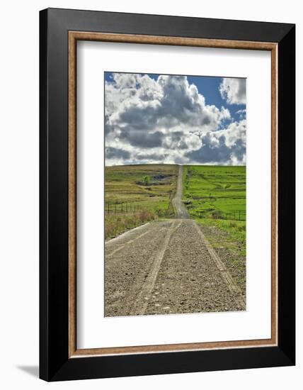 Lonely road going through the Flint Hills of Kansas-Michael Scheufler-Framed Photographic Print