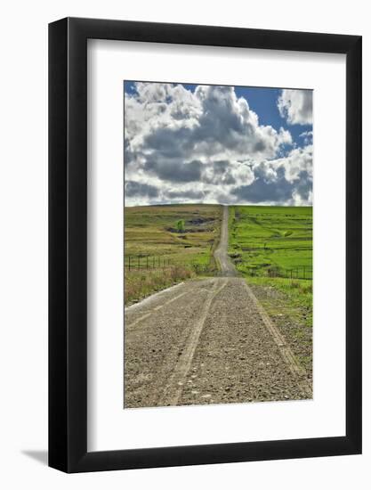 Lonely road going through the Flint Hills of Kansas-Michael Scheufler-Framed Photographic Print