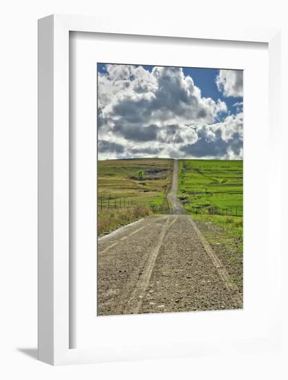 Lonely road going through the Flint Hills of Kansas-Michael Scheufler-Framed Photographic Print