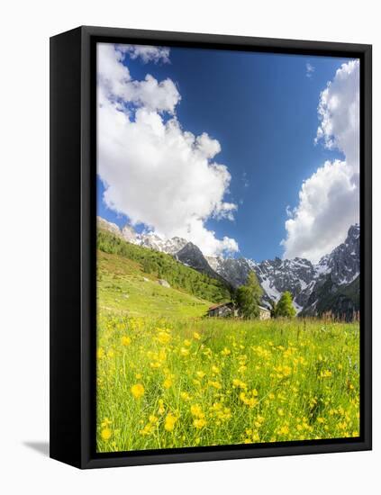 Lonely traditional group of huts in a wild alpine valley, Val d'Arigna, Orobie, Valtellina-Francesco Bergamaschi-Framed Premier Image Canvas