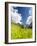 Lonely traditional group of huts in a wild alpine valley, Val d'Arigna, Orobie, Valtellina-Francesco Bergamaschi-Framed Photographic Print