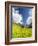 Lonely traditional group of huts in a wild alpine valley, Val d'Arigna, Orobie, Valtellina-Francesco Bergamaschi-Framed Photographic Print