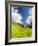 Lonely traditional group of huts in a wild alpine valley, Val d'Arigna, Orobie, Valtellina-Francesco Bergamaschi-Framed Photographic Print