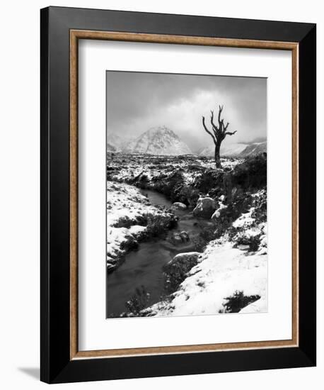 Lonely Tree in Rannoch Moor, Scotland, UK-Nadia Isakova-Framed Photographic Print