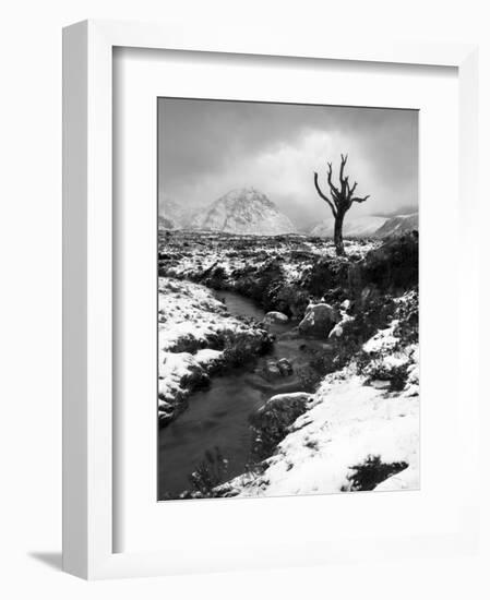 Lonely Tree in Rannoch Moor, Scotland, UK-Nadia Isakova-Framed Photographic Print