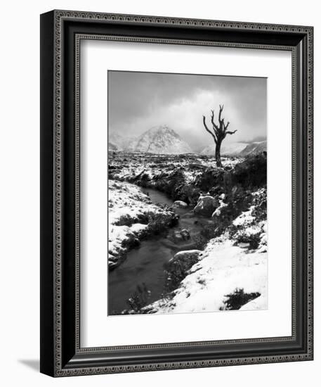 Lonely Tree in Rannoch Moor, Scotland, UK-Nadia Isakova-Framed Photographic Print