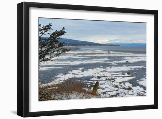 Lonely Tree Overlooking Frozen Tidal Flats-Latitude 59 LLP-Framed Photographic Print