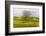 Lonely tree. Tuscan meadow with a farm. Yellow mustard plants and red poppies. Tuscany, Italy.-Tom Norring-Framed Photographic Print