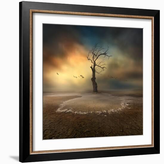 lonely-Piotr Krol (Bax)-Framed Photographic Print