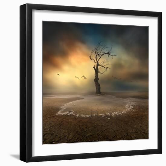 lonely-Piotr Krol (Bax)-Framed Photographic Print