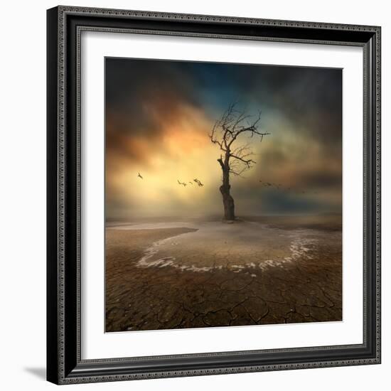 lonely-Piotr Krol (Bax)-Framed Photographic Print