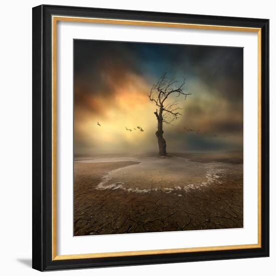 lonely-Piotr Krol (Bax)-Framed Photographic Print