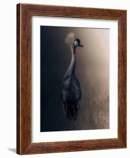 Lonely-Ahmed Sobhi-Framed Giclee Print