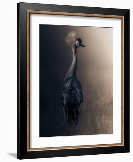 Lonely-Ahmed Sobhi-Framed Giclee Print