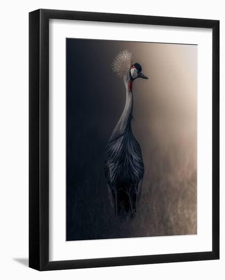 Lonely-Ahmed Sobhi-Framed Giclee Print