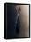 Lonely-Ahmed Sobhi-Framed Premier Image Canvas