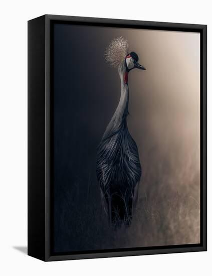 Lonely-Ahmed Sobhi-Framed Premier Image Canvas