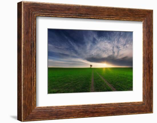 loner in the sun-Piotr Krol (Bax)-Framed Photographic Print