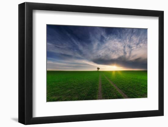 loner in the sun-Piotr Krol (Bax)-Framed Photographic Print