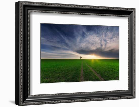 loner in the sun-Piotr Krol (Bax)-Framed Photographic Print