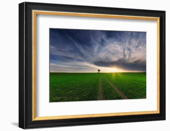 loner in the sun-Piotr Krol (Bax)-Framed Photographic Print