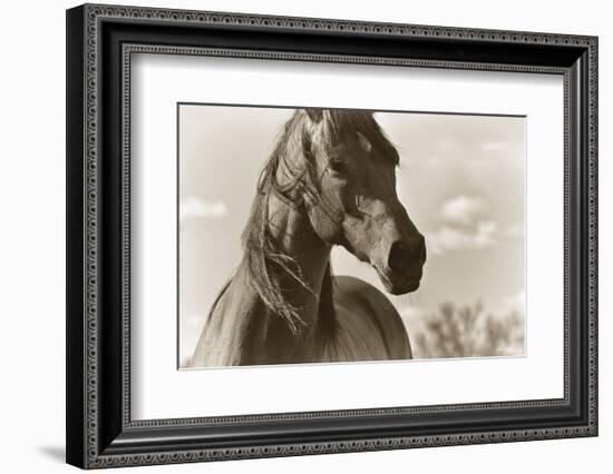 Lonesome Dove-Barry Hart-Framed Art Print