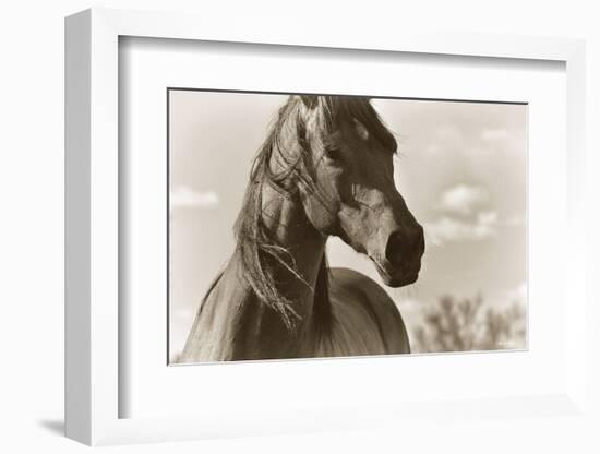 Lonesome Dove-Barry Hart-Framed Art Print