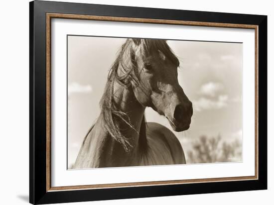 Lonesome Dove-Barry Hart-Framed Art Print