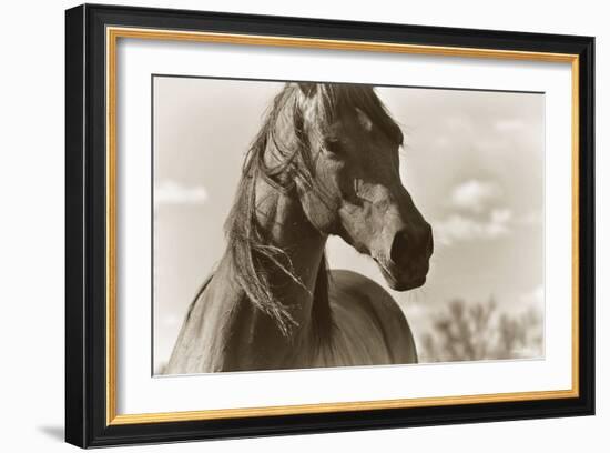 Lonesome Dove-Barry Hart-Framed Art Print