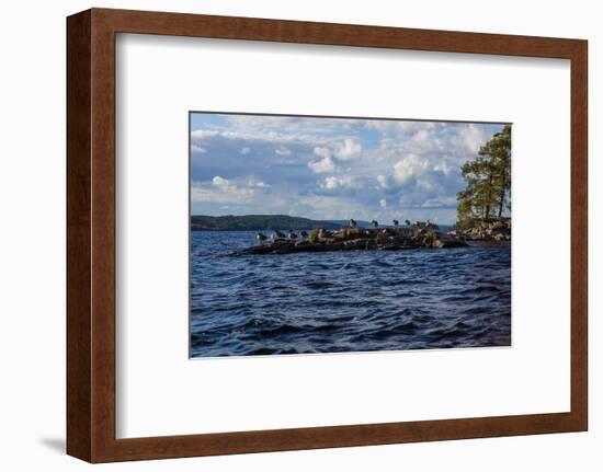 Lonesome landscape on Stora Le Lake, Sweden-Andrea Lang-Framed Photographic Print